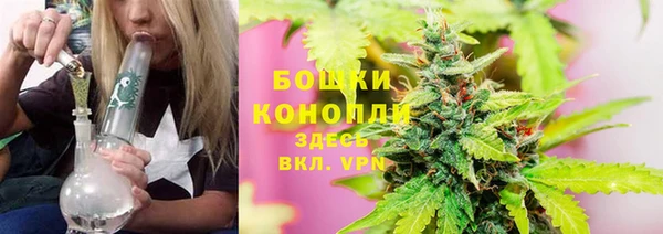 PSILOCYBIN Верхний Тагил